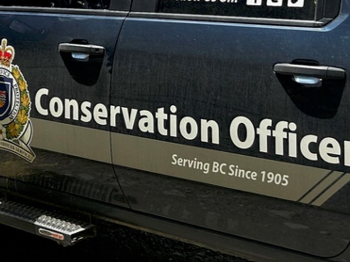 BC省男子因多宗非法獵殺野生動物罰款5萬元
