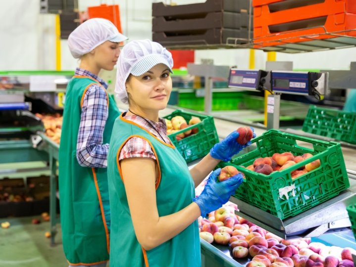 BC省人手收割農作物農業工人最低件計工資明起調升2.6%