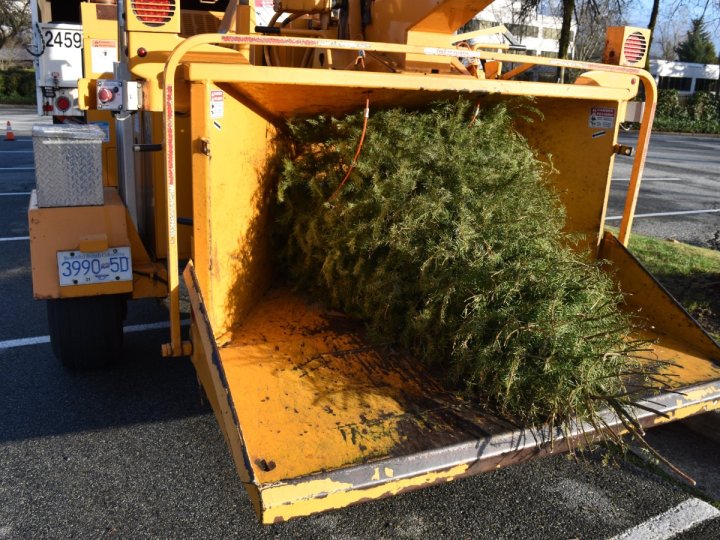 列市消防周末及周日舉行真聖誕樹回收活動