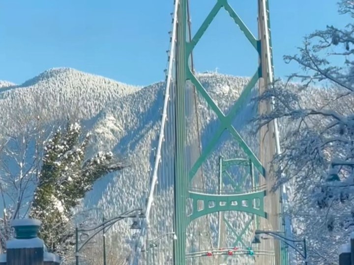 西溫獅門橋附近週二凌晨有三輛車起火  無人受傷