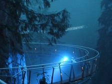 送 Capilano Suspension Bridge 通行証 欣賞世界最高聖誕樹
