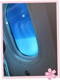日本航空 787 Dreamliner 的機艙窗戶以電子調控玻璃的遮光度，令乘客不用將遮光板拉上拉下。
