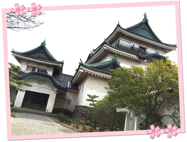 和歌山城就像大阪城，是依據本來設計重新建造的城堡，也許不是百份百古跡，但依然保存著日本建築之美。