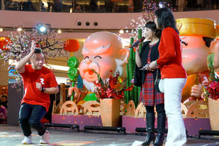 CNY Eve 鳳陽鼓舞慶雞年 圖片集