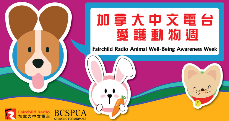 Fairchild Radio Animal Well-being Awareness Week 加拿大中文電台愛護動物週即將展開