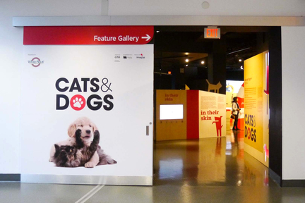溫哥華科學館的最新展覽《貓狗科學展》，讓參觀科學館的人能以有趣的方式了解這些可愛動物背後的科學，參觀不另收費。
