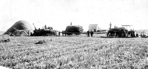 從這張於 1916 年拍的照片可見當年列治文農業興旺。（City of Richmond Archives）