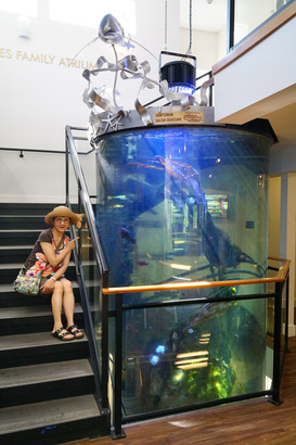 Gibsons 之 Marine Education Centre 設有樓高三層的圓筒水族箱展示 Sunshine Coast 區的海底生物生態。