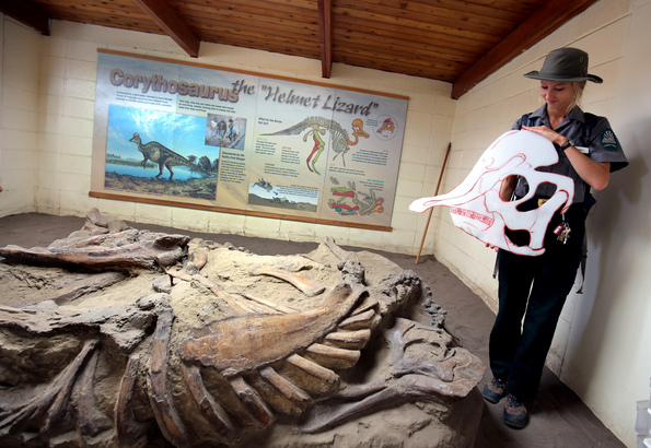 Dinosaur Provincial Park 內有職員向遊人介紹原裝恐龍化石及其資料。