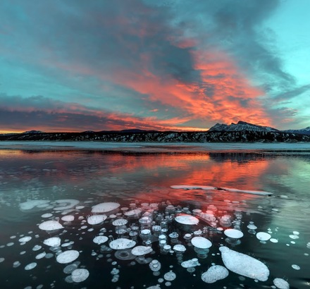 似外星物體的白氣泡，是由湖底微生物釋放出之沼氣氣泡，遇冰封而逐漸凝固而成。