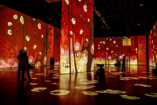 Imagine Van Gogh 360 度全影投射！沉浸式體驗梵高藝術的光影世界