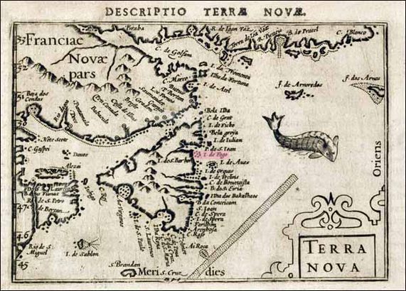 早在 1519 年首現歐陸的 Terra Nova 地圖上，葡萄牙的航海家已用 Fogo 來稱此島。(Photo from heritage.nf.ca)