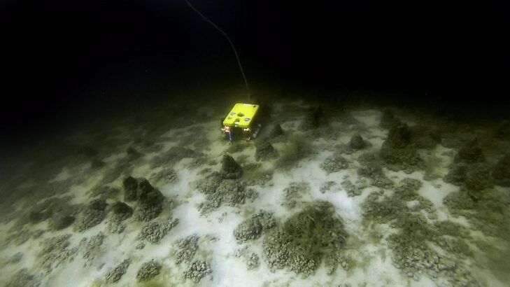 PLRP 使用的 ROV 遙控觀察器，可探測 40 米深的湖底。