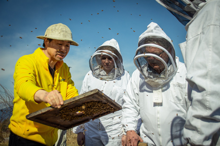 林博士運用自己的專業知識，改進蜜蜂養殖業的行業規範、從而提高蜜蜂產品的質量。