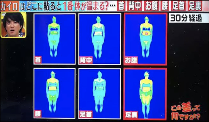 上排左到右依序為頸部、背部、腹部；下排左到右依序為腰部、腳踝、腳底。