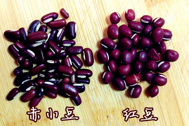 紅豆很容易買到，但它與另一款紅色的豆類赤小豆十分相似，雖然形似，營養功效卻不一樣！