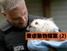 加拿大中文電台愛護動物週前奏 - 受虐動物檔案 (2)1746054569