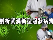 [防疫] Coronavirus 剖析武漢新型冠狀病毒 「專題熱線」音頻重溫1746054569