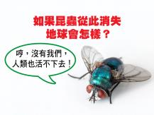 Insects 如果昆蟲完全消失 地球會怎樣？