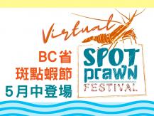 BC Spot Prawn Festival  2021 斑點蝦節以線上型式強勢回歸