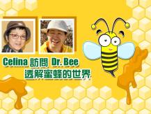 Celina 訪問 Dr. Bee - 探究蜜蜂王國1746054569