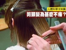 Human body 剪頭髮為何不痛？感冒為甚麼會流鼻水？