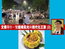 Vietnam 文楓帶你一覽越南風光與現代化工業 (2)1746054569