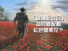 Remembrance Poppies「國殤紀念日」為何要配戴紅色罌粟花？