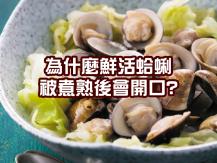 Clams 蛤蜊為何煮熟會打開殼？ 煮熟後仍關著外殼的蛤蜊並不一定是壞掉