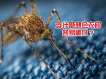 Mosquito bite 不想被蚊叮 就要知道蚊最不喜歡的顏色