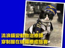 Cat 流浪貓變動物治療師 穿制服在機場療癒旅客