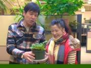Earth Month 林嘉華的辦公室種植小講堂1746054569