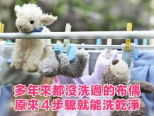 Stuffed toys 多年來都沒洗過的布偶 4 步驟就能洗乾淨