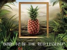 Pineapple 一顆要價 US$400 的鳳梨 你會買嗎？1746054569