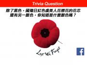 Remembrance Day Facebook 競猜遊戲1746054569