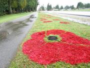 Remembrance Day 我們永不忘記為國捐軀的的英勇將士