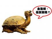 History trivia 歷史冷知識 -「金龜婿」的由來？