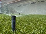 Water Restriction 今年大溫限水令更嚴格 改為自動澆水每周 2 天