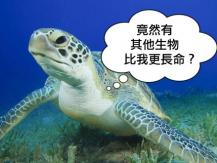 世界之最 - 世界最長壽的 10 大生物 其中一種更是長生不老!