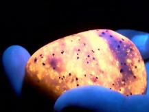 Glowing stones Yooperlites 美國東岸出現「會發光的石」 $50 美元帶你去找