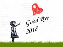 向 2018 say goodbye