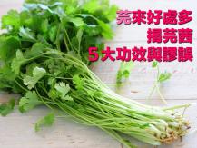 Parsley「芫」來好處多 揭芫茜 5 大功效與謬誤