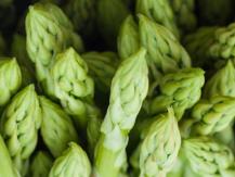 Asparagus 抗癌之王 蘆筍1746036542