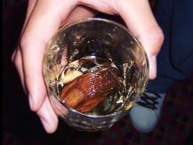 Sourtoe Cocktail 加國獨產「臭腳調酒」臭名遠播 擄獲十萬人1746036542