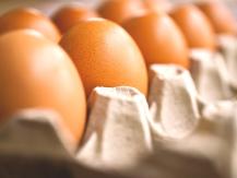 Eggs 雞蛋生熟營養有差？「最佳吃法」吸收率 99％1746036542