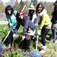 Tree-planting Fun 植樹好玩超爽211