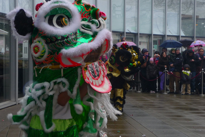 Chinese New Year<br>醒獅賀歲添喜慶