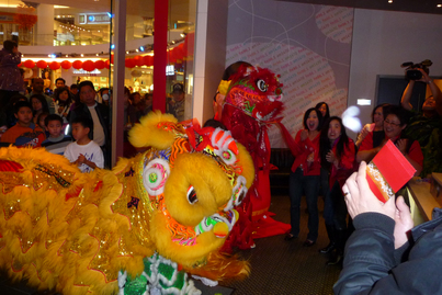 Chinese New Year<br>醒獅賀歲添喜慶1974