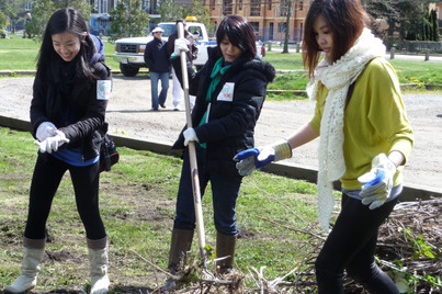 Tree-planting Fun 植樹好玩超爽