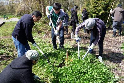 Tree-planting Fun 植樹好玩超爽